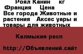  Роял Канин 20 кг Франция! › Цена ­ 3 520 - Все города Животные и растения » Аксесcуары и товары для животных   . Калмыкия респ.